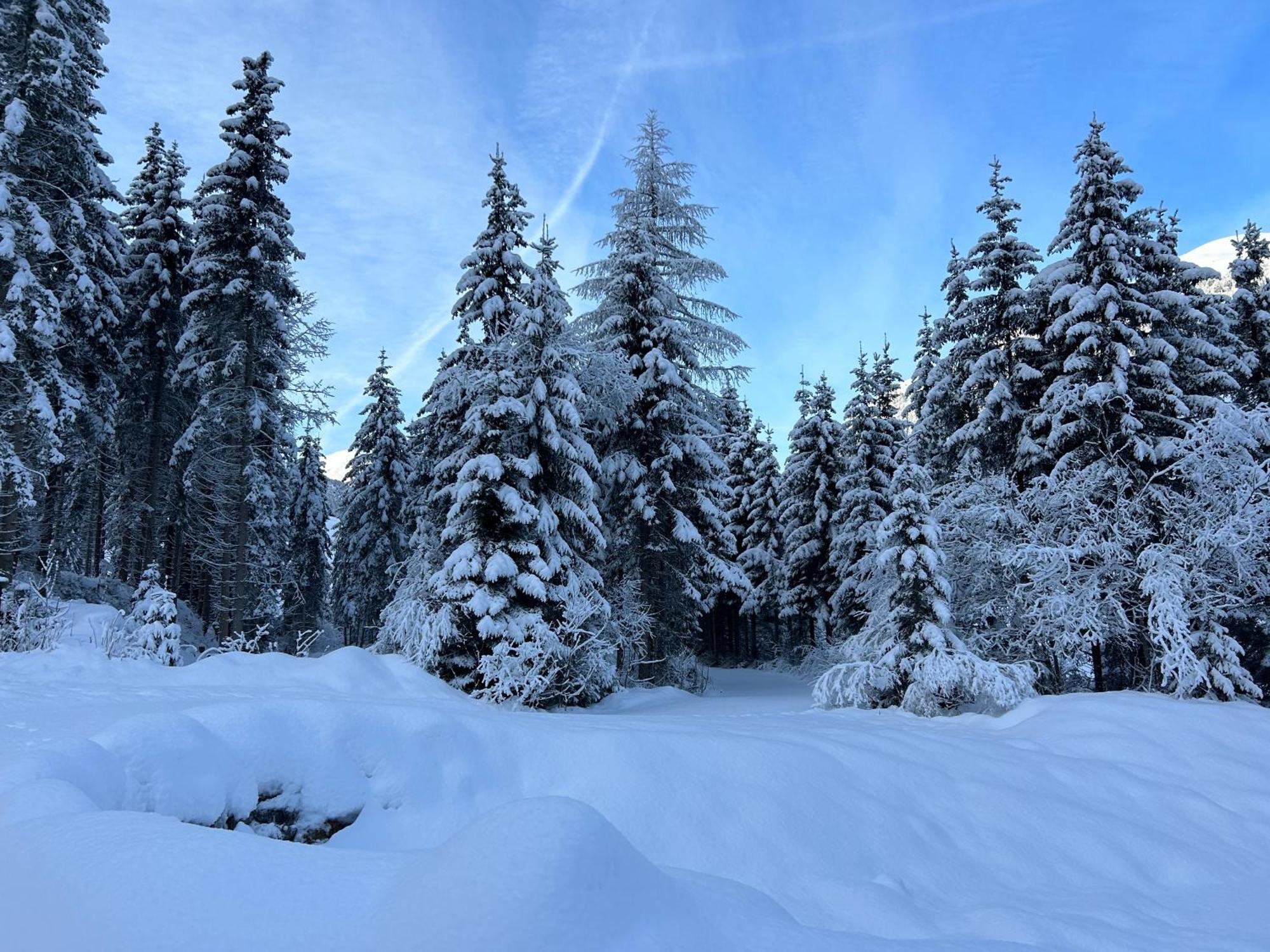 Haus Waldblick Hopfgarten in Defereggen Exterior foto